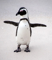 Penguin 4